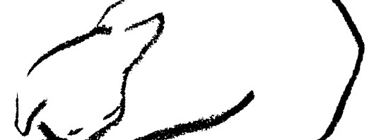 ホームページをリニューアルしました。