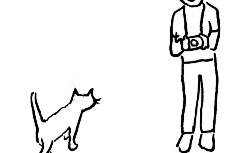 岩合光昭の世界ネコ歩き