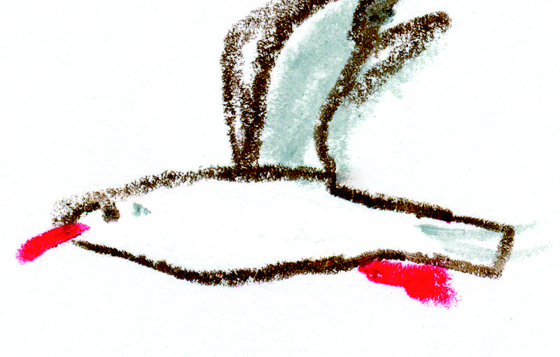 みやげ遊覧絵図（徳島）/翼の王国